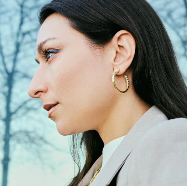 Freida Rothman Sparkling Reflections Hoop Earrings