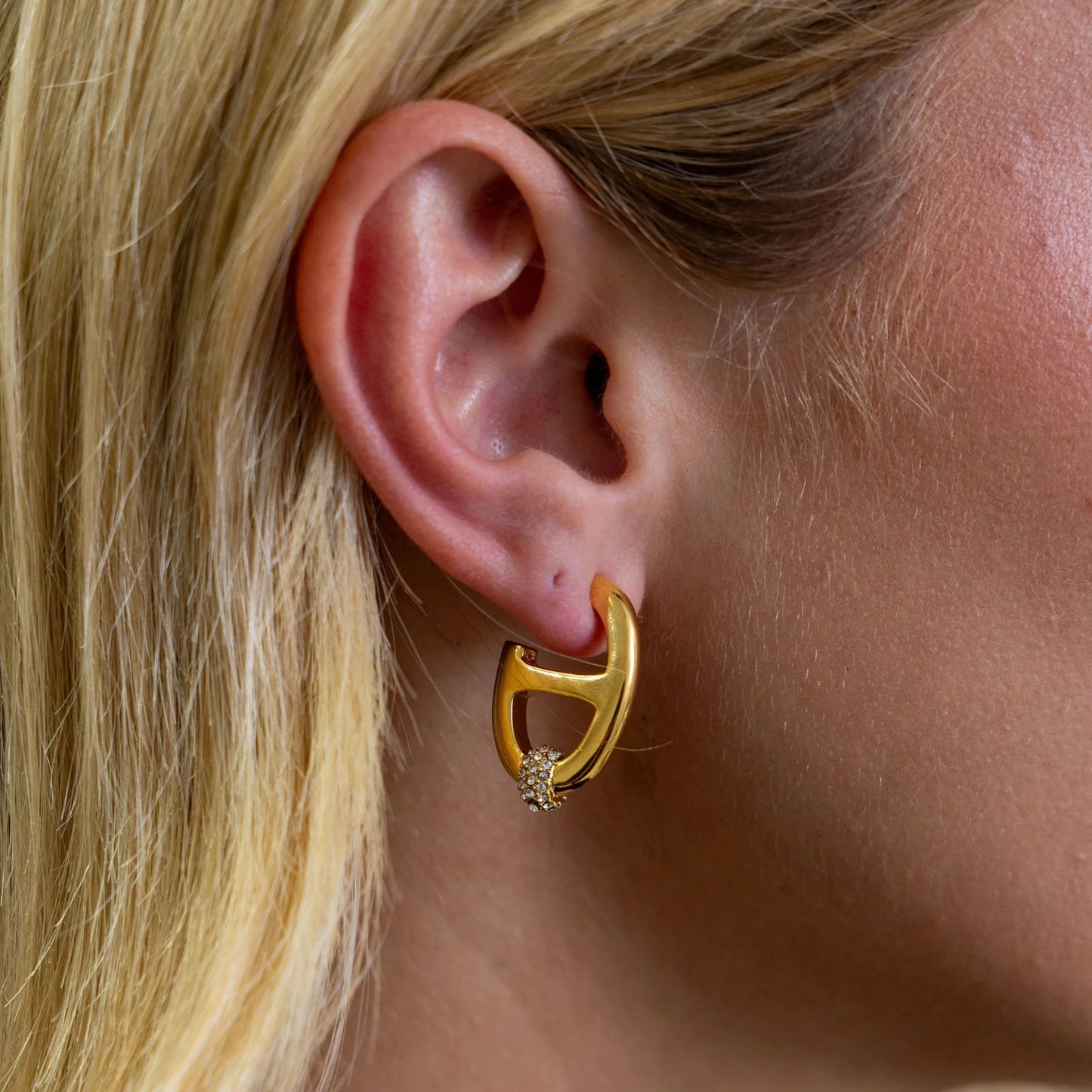 Sahira Nova Pave Hoop Earrings