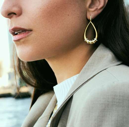 Freida Rothman Sparkling Reflections Teardrop Earrings